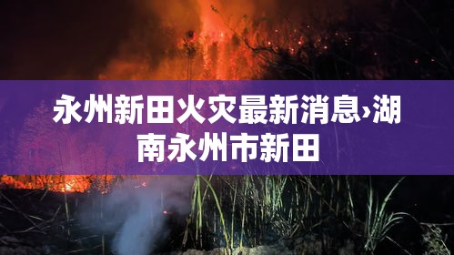 永州新田火灾最新消息›湖南永州市新田