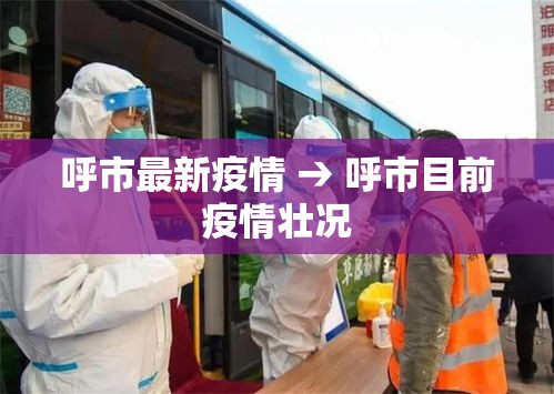 呼市最新疫情 → 呼市目前疫情壮况 呼市最新疫情 → 呼市目前疫情壮况