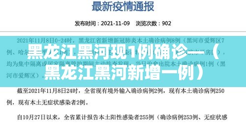 黑龙江黑河现1例确诊—(黑龙江黑河新增一例) 黑龙江黑河现1例确诊—(黑龙江黑河新增一例)