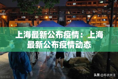 上海最新公布疫情：上海最新公布疫情动态